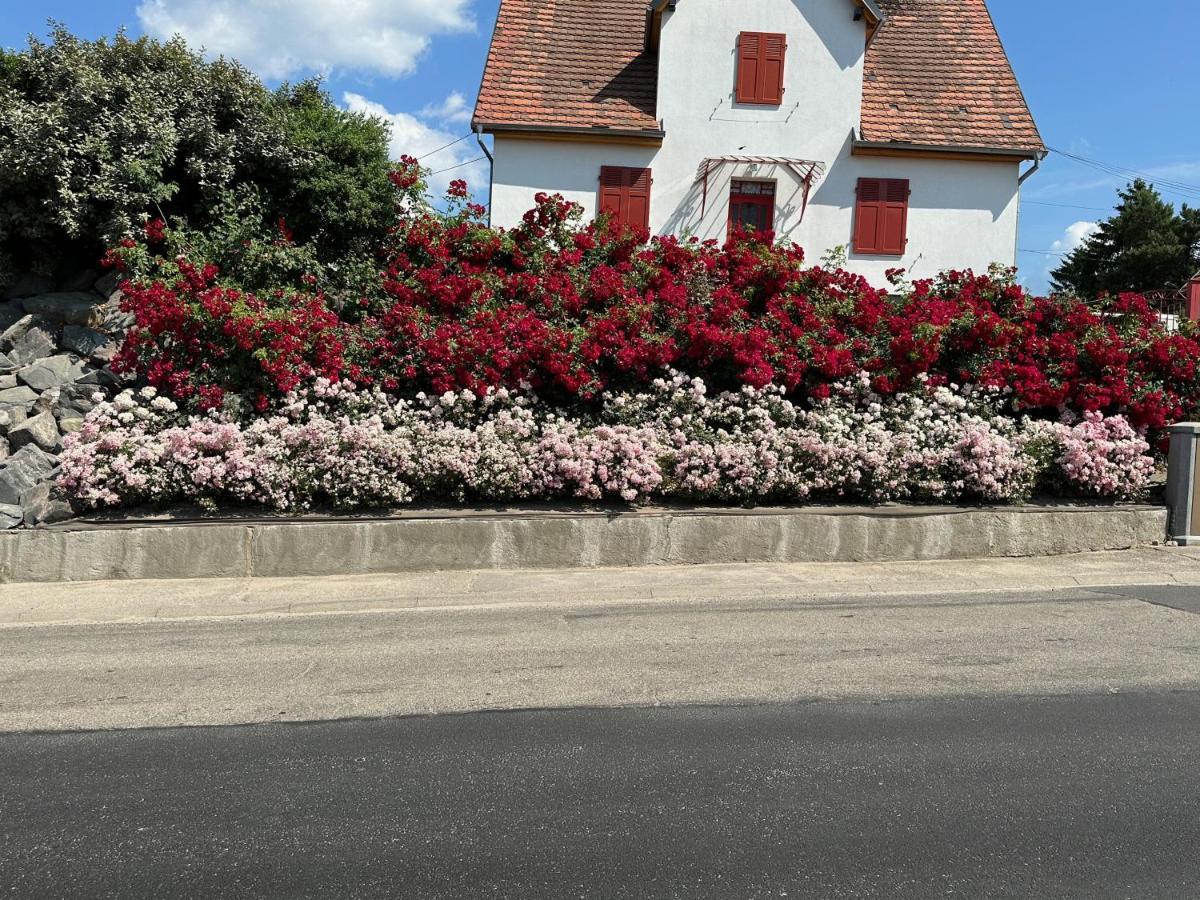 Ferienwohnung Au Parfum Des Roses Gunstett Exterior foto